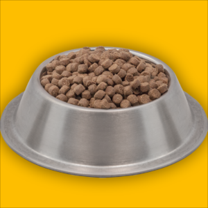 CleanServe Bowls & Feeder Set