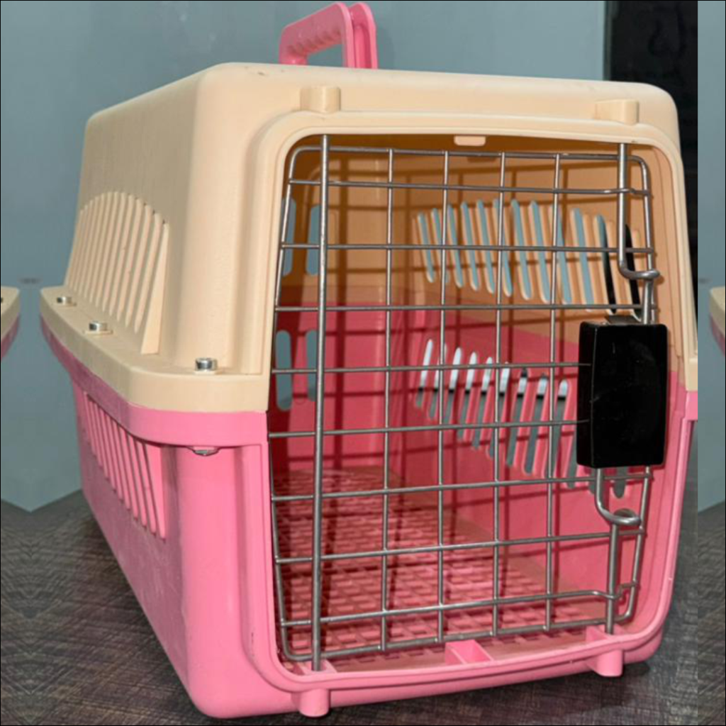 TravelEase Cat Carrier